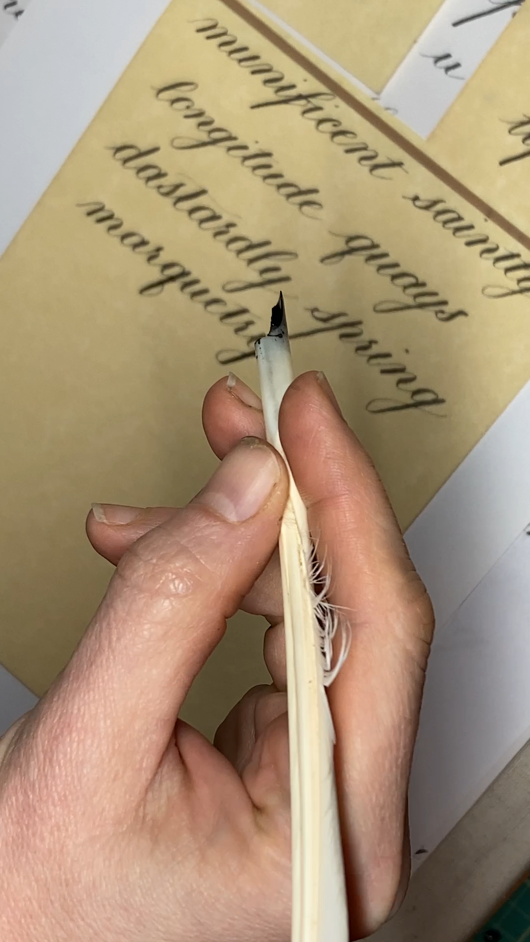 copperplate calligraphy examples